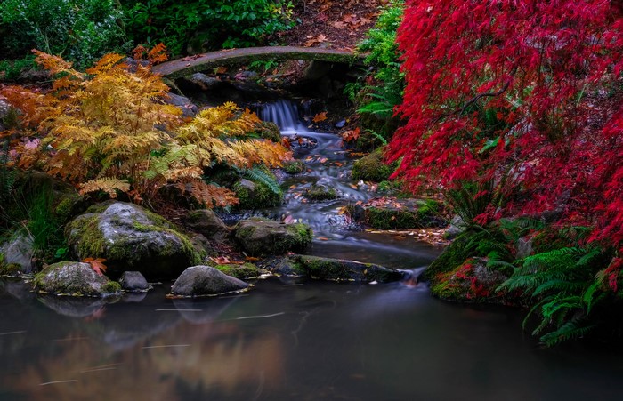Autumn foliage and stream at Kubota Gardens, Seattle