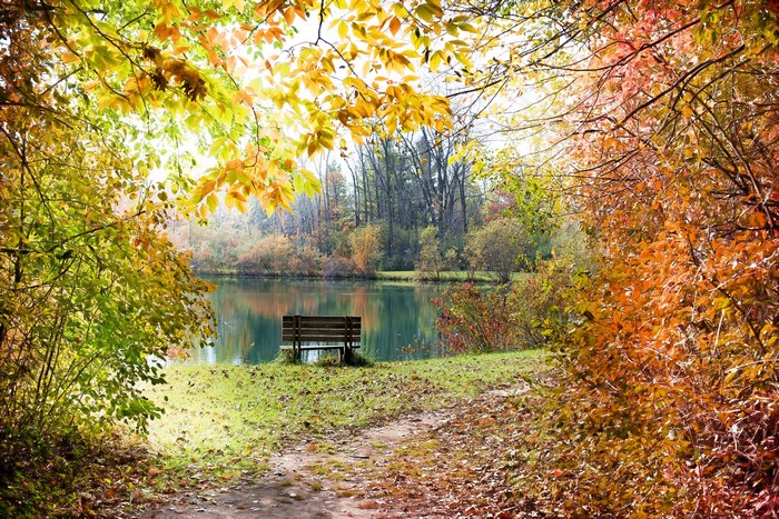 Autumn scene with a pond and a bench