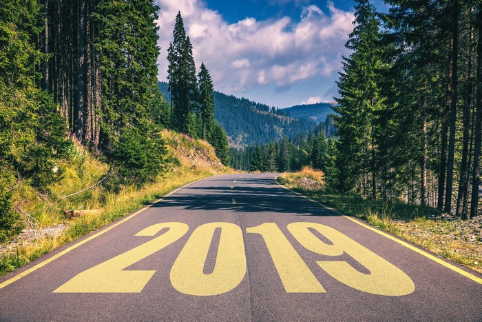Road with 2019 painted on it in a forest