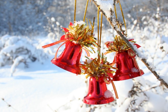 Three red Christmas bells hanging on a snowy branch