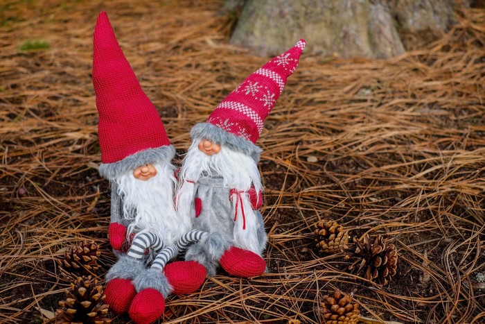 Two Gnomes with Pine Cones