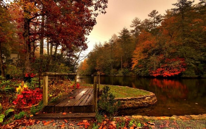 Wooden bridge over a stream in autumn forest