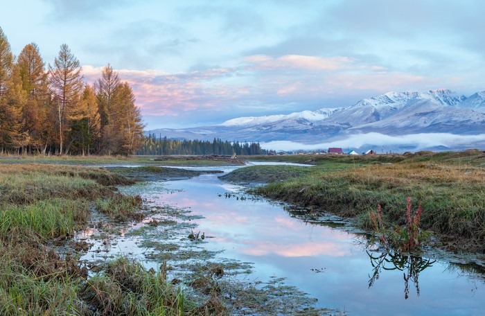 4K Altai Mountains Russia Forest Grass