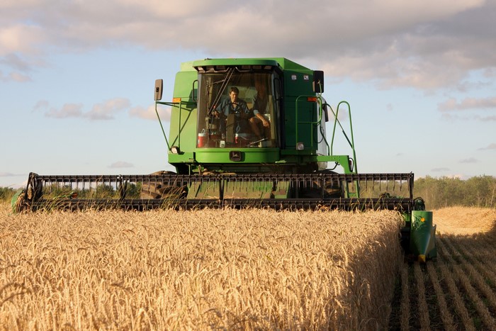 Combine harvester in a wheat field