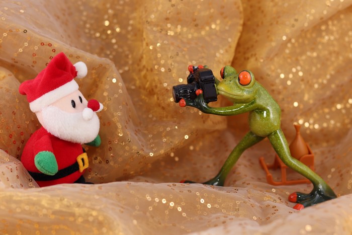Frog photographer takes picture of Santa Claus