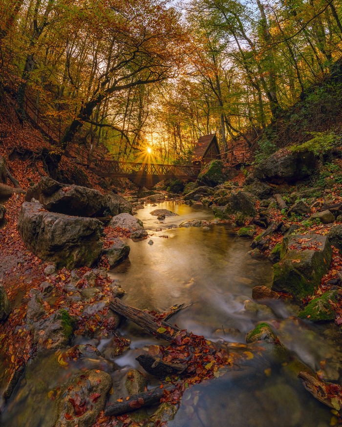 Autumn stream in Crimea with sun rays and a bridge