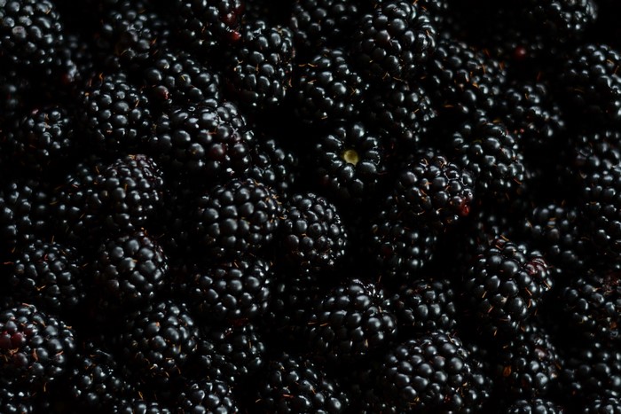 Close-up of a pile of fresh blackberries
