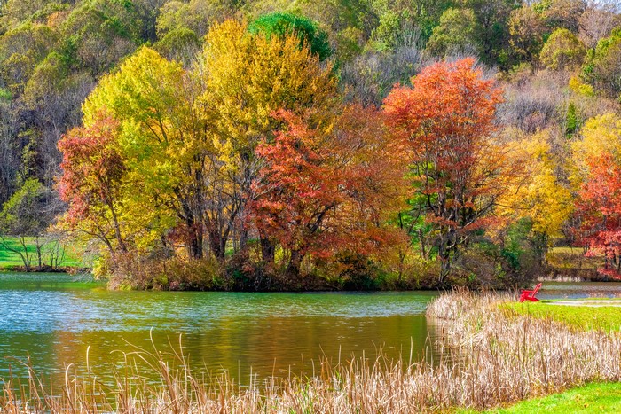 Autumn trees by a lake on the Blue Ridge Parkway