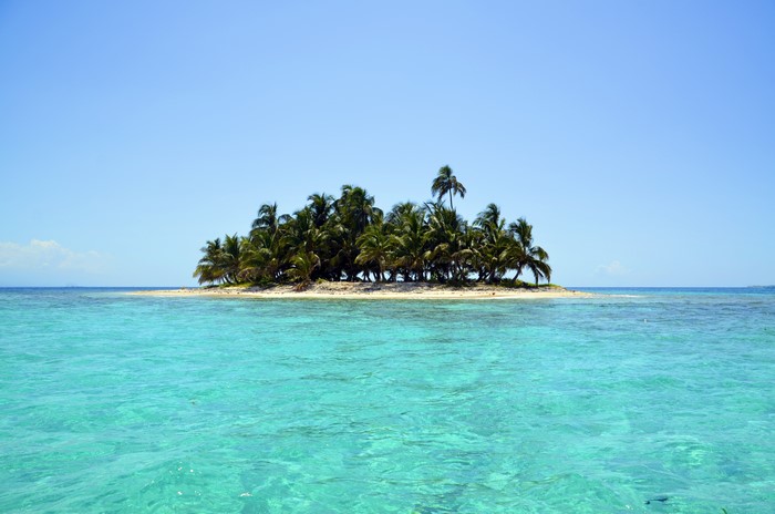 Island with palm trees in turquoise sea