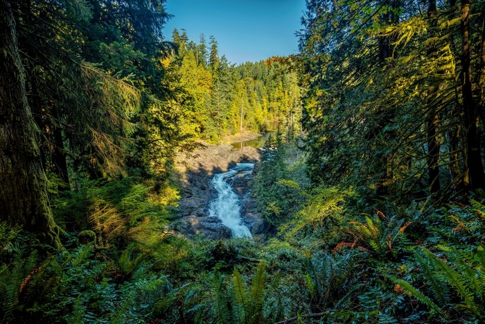 Waterfall in a forest on Vancouver Island, Canada