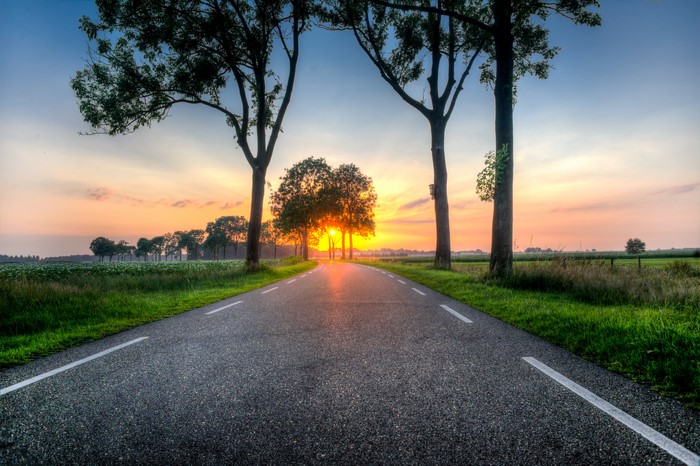 Road lined with trees at sunset