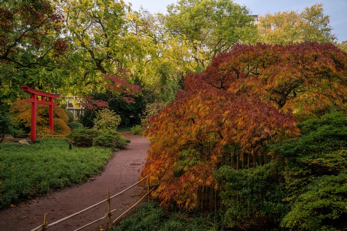 Japanese Garden with Red Torii Gate in Autumn