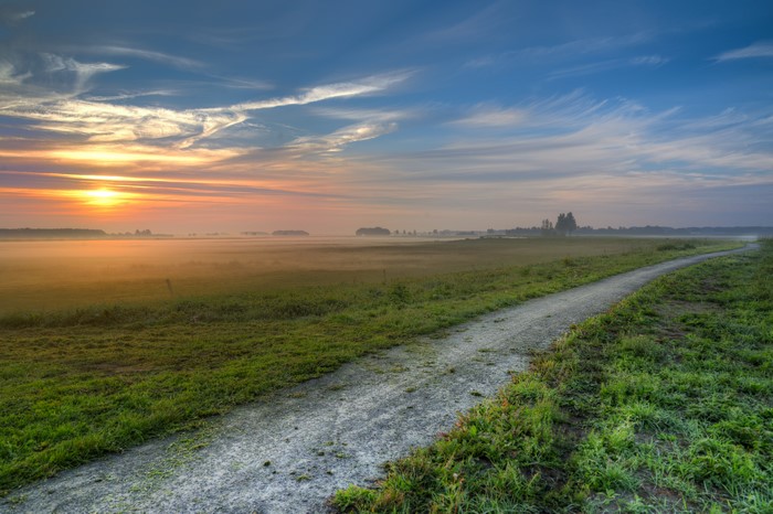 Sunrise over foggy fields with a dirt road