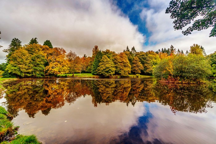 Autumn trees reflected in a pond at Botanic Gardens, Dublin
