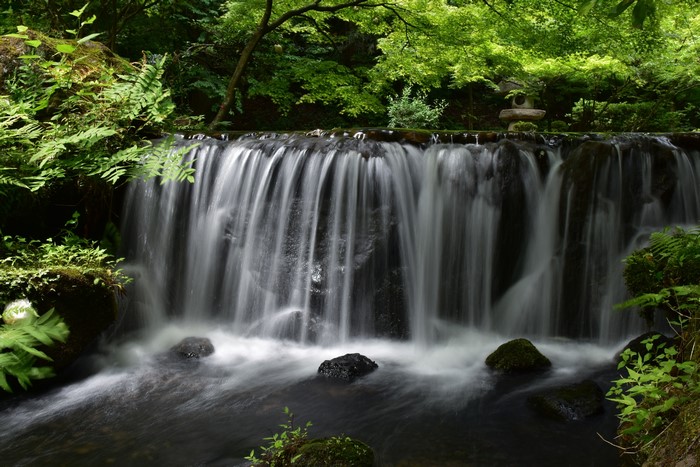 Waterfall with stones and lush greenery