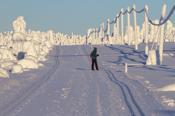 Cross-country skier in snowy Lapland, Finland