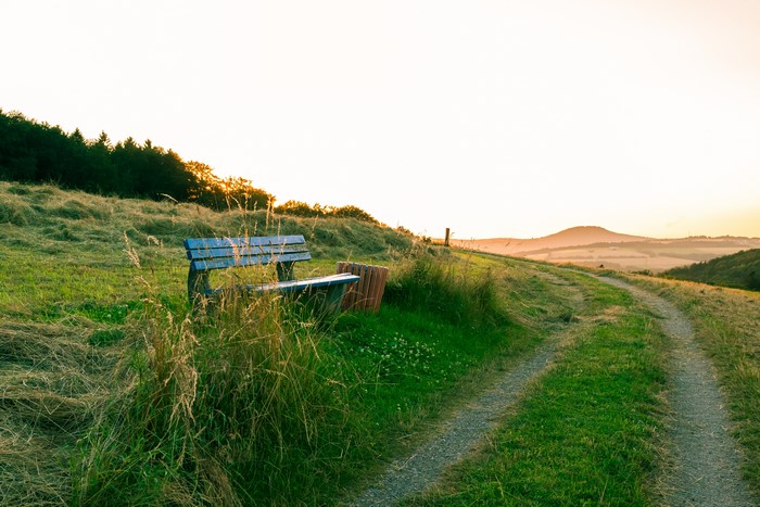 Bench on a grassy hill with a path at sunset