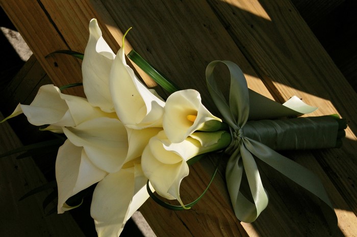 White Calla Lily Bouquet with Green Ribbon