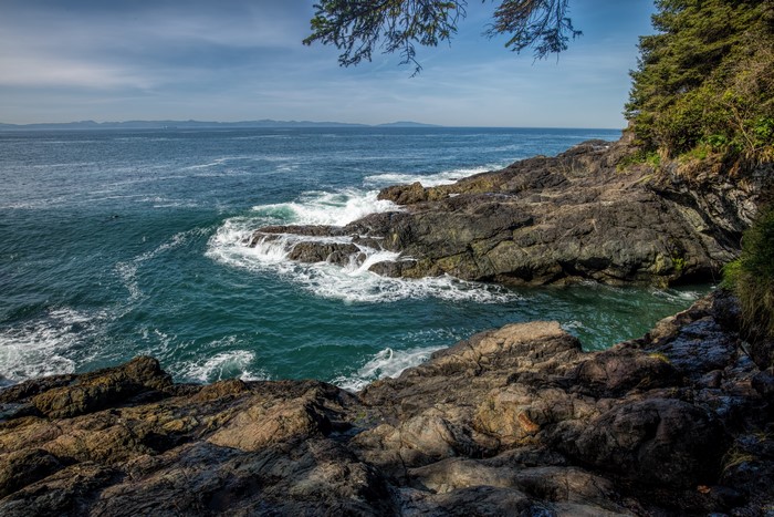 Rocky Coastline with Waves and Trees