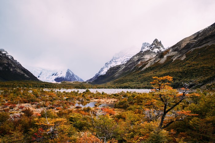 Autumn Landscape with Mountains and Lake in Argentina