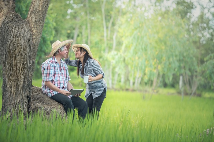 Couple in Straw Hats in a Rice Field