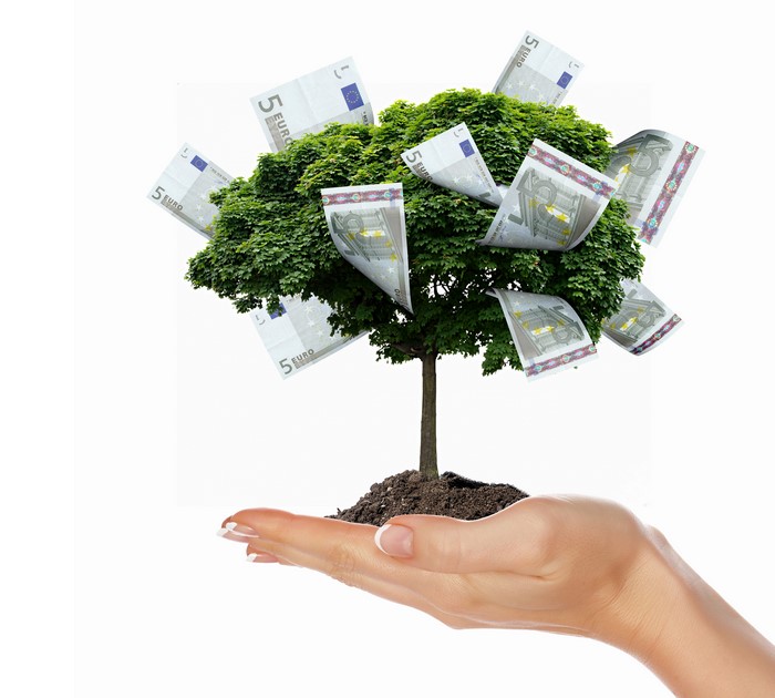 Tree with Euro banknotes growing from a hand