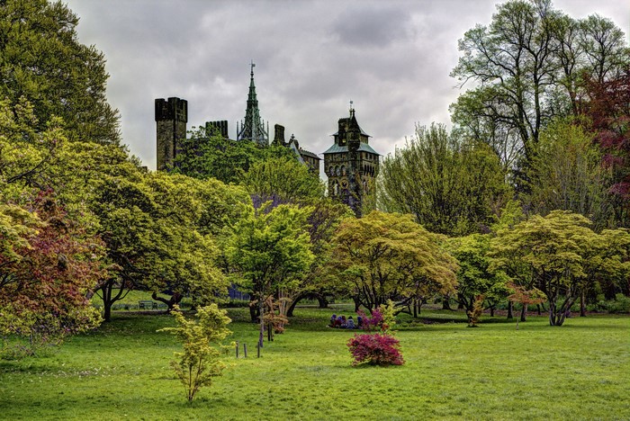 Bute Park Cardiff, United Kingdom, Castle and Trees