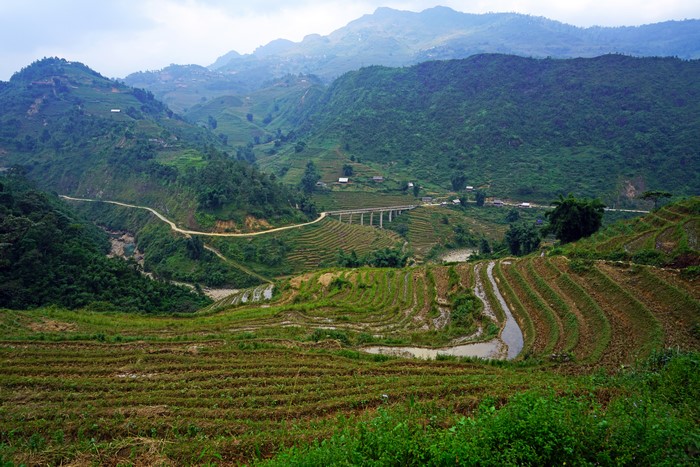 Muong Hoa Valley Vietnam Mountains and Fields