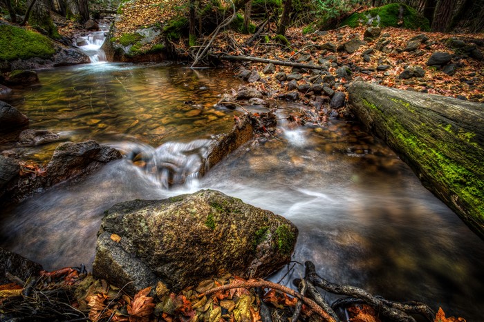 Autumn stream in Yosemite National Park, California