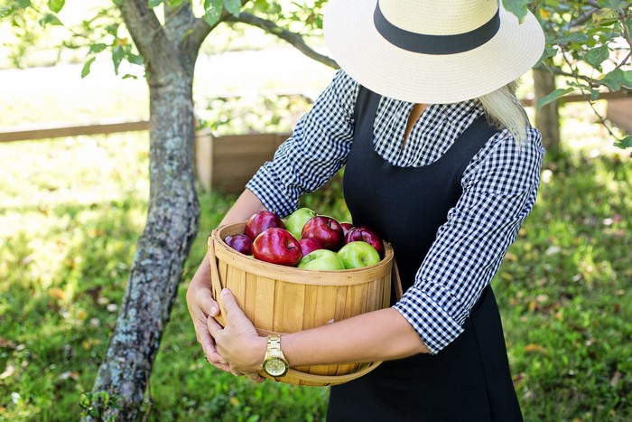 Woman in Hat Holding Basket of Apples