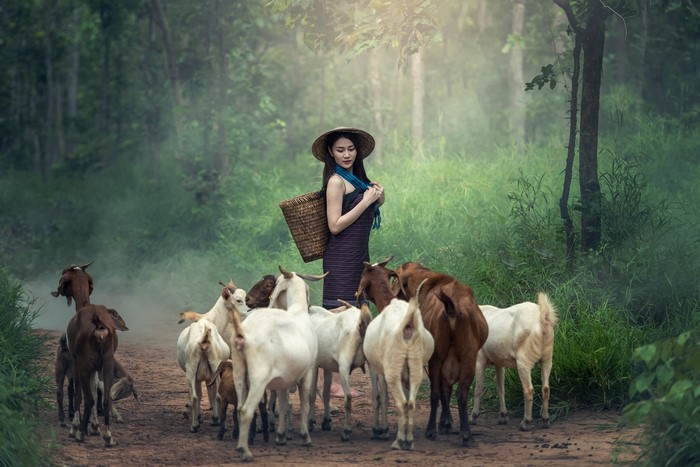 Woman with Goats on Forest Trail