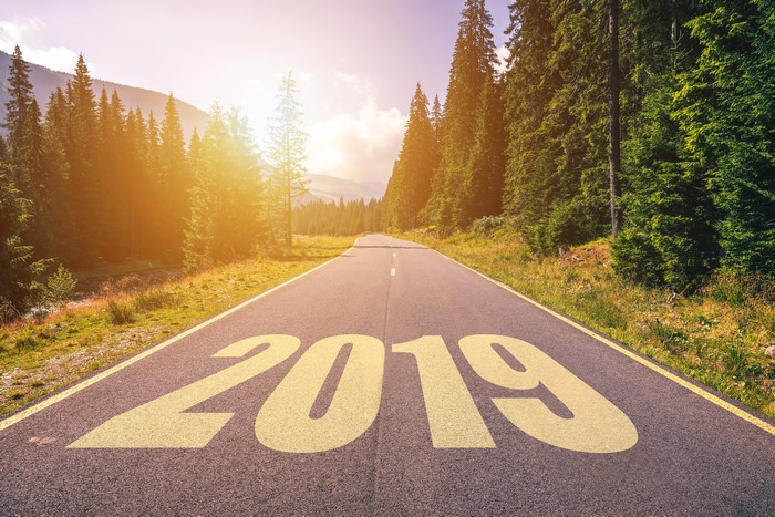 Road with 2019 painted on it through a forest