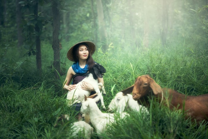 Asian girl in hat with goats in forest