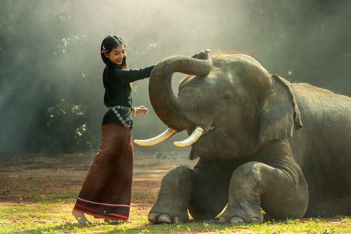 4K Girl Interacting with Elephant in Nature