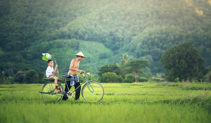 Man and boy on a bicycle in a rice field
