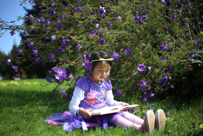 Little girl reading a book under a flowering tree