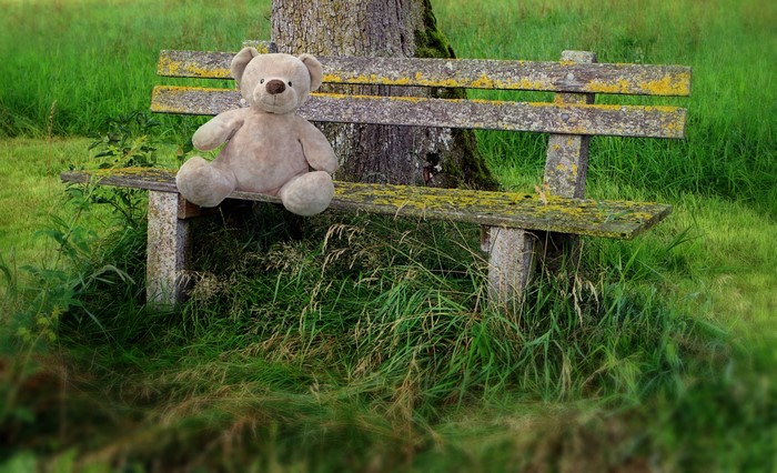 Teddy bear sitting on a bench in grass