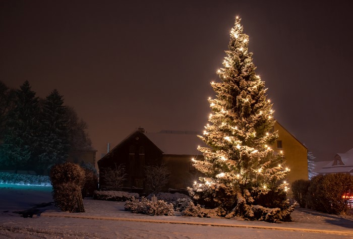 4K Christmas tree with fairy lights in snowy Oberlausitz, Germany at night