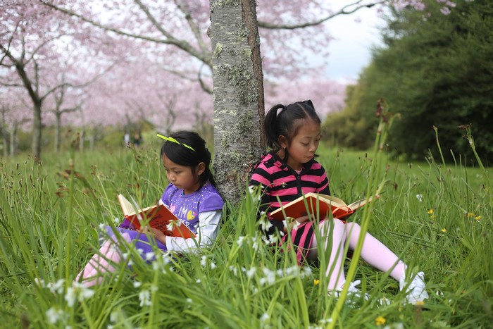 Two little girls reading books under a tree
