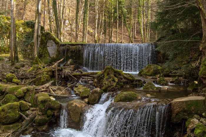 Waterfall in a mossy forest with stones