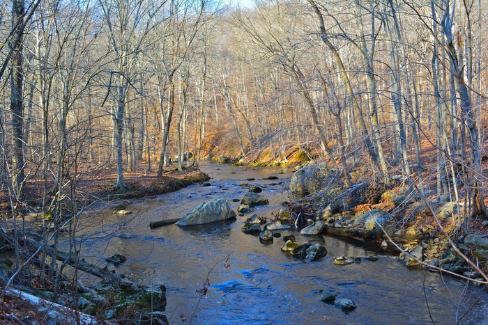 Ridley Creek State Park stream in autumn