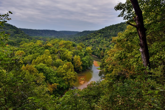 Mammoth Cave National Park River and Forest