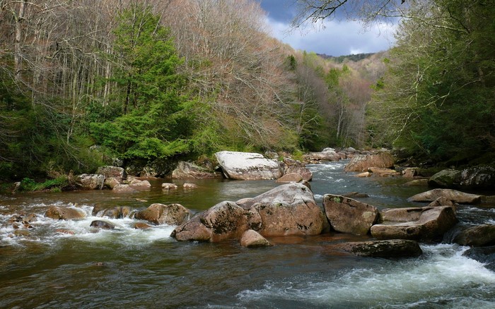 Williams River in Monongahela National Forest, West Virginia