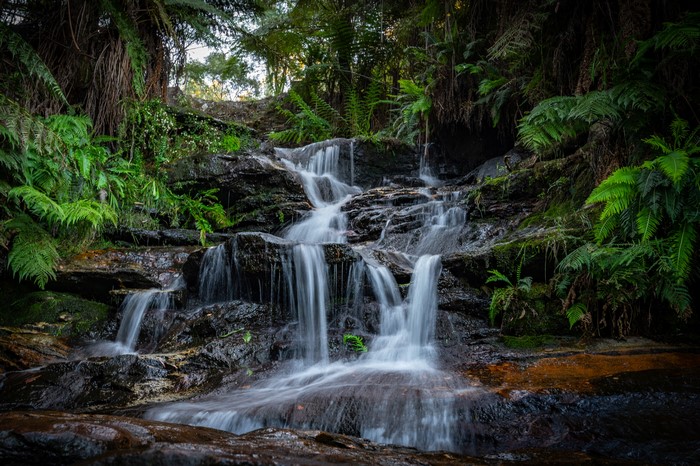 Waterfall cascading over mossy rocks in a forest