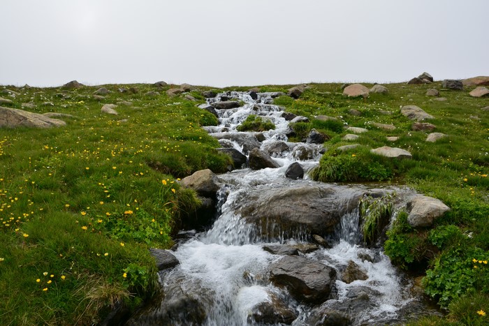 Stream flowing over stones in a grassy meadow