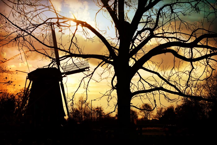 Silhouette of a windmill and tree at sunset
