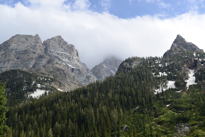 Grand Teton National Park Mountains and Forests