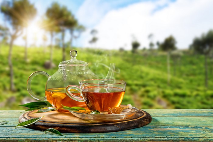 Tea in a Kettle and Cup with a Green Landscape