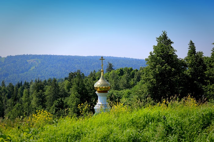 Church dome with cross in forest landscape