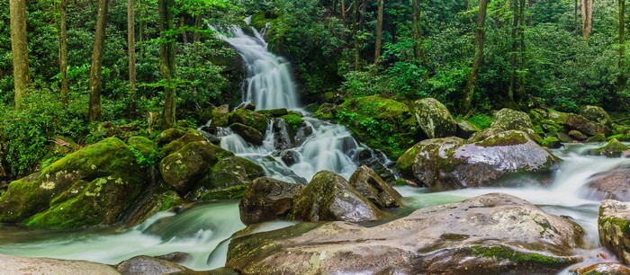 Waterfall in Great Smoky Mountains National Park